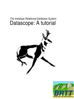 Tài liệu The Antelope Relational Database System Datascope: A tutorial ppt