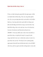 Tài liệu Bệnh thân đỏ đốm trắng ở tôm sú pptx