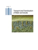 Tài liệu Plant physiology - Chapter 3 Water and Plant Cells docx