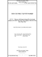 Nâng cao chất lượng tín dụng đối với các doanh nghiệp tại chi nhánh Ngân hàng Nông Nghiệp & Phát triển Nông thôn Nông Cống