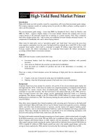 Tài liệu HIGH-YIELD BOND MARKET PRIMER docx