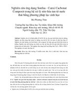 Nghiên cứu ứng dụng sunfua   canxi cacbonat composit trong hệ xử lý nitơ hòa tan từ nước thải bằng phương pháp lọc sinh học