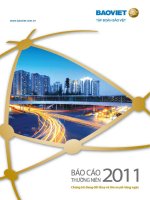 Tài liệu Báo cáo Thường niên năm 2011 của Tập đoàn Bảo Việt: Chúng tôi đang đổi thay và lớn mạnh từng ngày potx