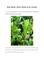 Tài liệu Bài thuốc chữa bệnh từ lá chanh doc