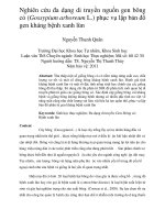 Nghiên cứu đa dạng di truyền nguồn gen bông cỏ (gossypium arboreum l ) phục vụ lập bản đồ gen kháng bệnh xanh lùn