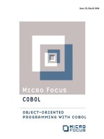 Tài liệu Object Oriented Programming With Cobol pptx