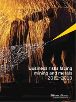 Tài liệu Business risks facing mining and metals 2012–2013 pptx