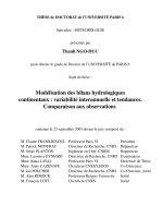 modélisation des bilans hydrologiques continentaux  variabilité interannuelle et tendances.