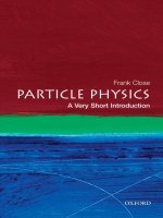 Particle Physics: A Very Short Introduction