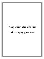 Tài liệu Cấp cứu cho đôi môi nứt nẻ ngày giao mùa pdf