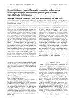 Tài liệu Báo cáo khoa học: Reconstitution of coupled fumarate respiration in liposomes by incorporating the electron transport enzymes isolated from Wolinella succinogenes docx