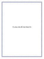 Tài liệu Những bài ca dao về kinh nghiệm buôn bán, kinh doanh trợ búa pot