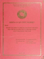 rủi ro tài chính và một số giải pháp góp phần hạn chế rủi ro đối với các doanh nghiệp xuất nhập khẩu việt nam