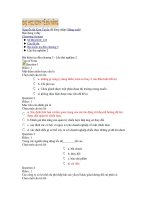 Tài liệu Đề trắc nghiệm quản trị chiến lược pdf
