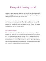 Tài liệu Phòng tránh sâu răng cho bé ppt