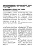 Tài liệu Báo cáo khoa học: Analyzing changes of chromatin-bound replication proteins occurring in response to and after release from a hypoxic block of replicon initiation in T24 cells pptx
