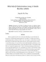 Biểu hiện β galactosidase trong vi khuẩn bacillus subtilis