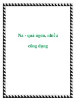 Tài liệu Na - quả ngon, nhiều công dụng pot