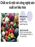 chất xơ & một vài công nghệ sản xuất xơ tiêu hóa