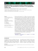 Tài liệu Báo cáo khoa học: Phosphorylation of hormone-sensitive lipase by protein kinase A in vitro promotes an increase in its hydrophobic surface area ppt