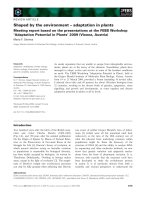 Tài liệu Báo cáo khoa học: Shaped by the environment – adaptation in plants Meeting report based on the presentations at the FEBS Workshop ‘Adaptation Potential in Plants’ 2009 (Vienna, Austria) pdf