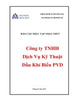 Báo cáo thực tập nhận thức Công ty TNHH Dịch vụ Kỹ thuật dầu khí biển PVD