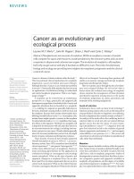 Tài liệu Cancer as an evolutionary and ecological process pptx