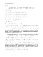 Tài liệu SỰ PHÂN HÓA CÁC MIỀN TỰ NHIÊN VIỆT NAM pdf