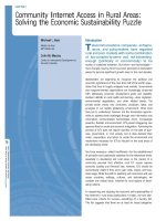 Tài liệu Community Internet Access in Rural Areas: Solving the Economic Sustainability Puzzle doc