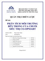 Tài liệu Tiểu luận: PHÂN TÍCH MÔI TRƯỜNG BÊN TRONG CỦA CHUỖI SIÊU THỊ CO-OPMART ppt