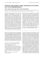 Tài liệu Báo cáo Y học: Puriﬁcation, characterization, cloning, and expression of the chicken liver ecto-ATP-diphosphohydrolase pot