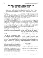 Tài liệu TỔNG KẾT CÁC HỆ THỐNG CANH TÁC HIỆU QUẢ CAO, BỀN VỮNG VÙNG NÚI DÀI AN GIANG ppt