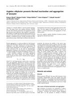 Tài liệu Báo cáo khoa học: Arginine ethylester prevents thermal inactivation and aggregation of lysozyme pptx