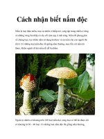 Tài liệu Cách nhận biết nấm độc pdf