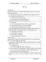Giải pháp thúc đẩy và phát triển dịch vụ ngân hàng bán lẻ tại Chi nhánh Ngân hàng Đầu tư và Phát triển tỉnh Quảng Ninh