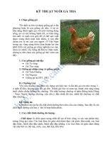 Tài liệu KỸ THUẬT NUÔI GÀ THẢ docx