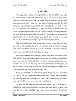 Một số biện pháp đẩy mạnh hoạt động bán hàng ở Công ty TNHH P&T