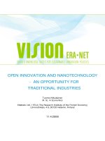 Tài liệu OPEN INNOVATION AND NANOTECHNOLOGY - AN OPPORTUNITY FOR TRADITIONAL INDUSTRIES ppt