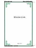 đồ án bảo vệ rơle