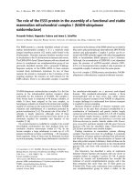 Tài liệu Báo cáo khoa học: The role of the ESSS protein in the assembly of a functional and stable mammalian mitochondrial complex I (NADH-ubiquinone oxidoreductase) pptx