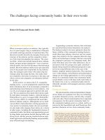 Tài liệu The challenges facing community banks: In their own words docx