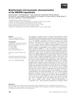 Tài liệu Báo cáo khoa học: Bioinformatic and enzymatic characterization of the MAPEG superfamily doc