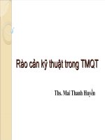 Rào cản kỹ thuật trong TMQT 1