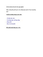 Tài liệu Gối ôm hình núi tuyết siêu ngộ nghĩnh doc