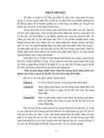 một số giải pháp nhằm hoàn thiện hệ thống kênh phân phối sản phẩm của công ty gạch ốp lát hà nội trên thị trường miền bắc