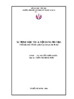 Tài liệu Tiểu luận:Xác định mục tiêu và đào tạo pptx