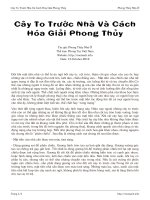 Tài liệu Cây To Trước Nhà Và Cách Hóa Giải Phong Thủy docx