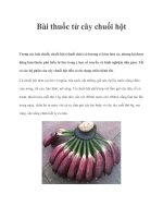 Tài liệu Bài thuốc từ cây chuối hột pdf