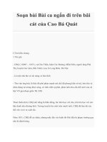 Tài liệu Soạn bài Bài ca ngắn đi trên bãi cát của Cao Bá Quát doc