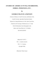 Tài liệu STUDIES OF AMERICAN FUNGI, MUSHROOMS, EDIBLE, POISONOUS, ETC ppt